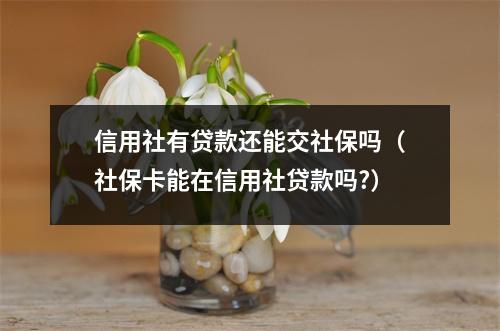 信用社有贷款还能交社保吗（社保卡能在信用社贷款吗?）