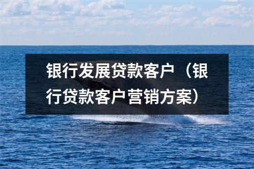 银行发展贷款客户（银行贷款客户营销方案）