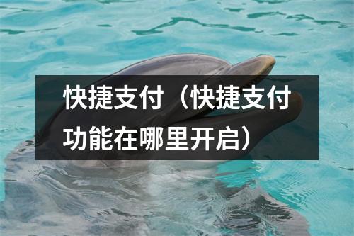快捷支付（快捷支付功能在哪里开启）