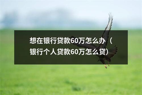 想在银行贷款60万怎么办（银行个人贷款60万怎么贷）