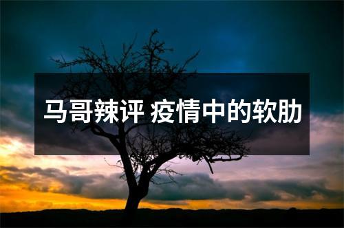 马哥辣评 疫情中的软肋