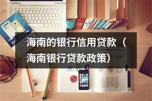 海南的银行信用贷款（海南银行贷款政策）
