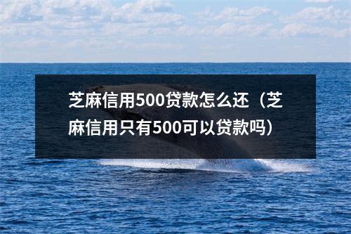 芝麻信用500贷款怎么还（芝麻信用只有500可以贷款吗）