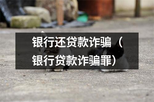 银行还贷款诈骗（银行贷款诈骗罪）