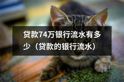 贷款74万银行流水有多少（贷款的银行流水）