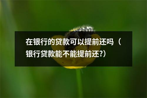 在银行的贷款可以提前还吗（银行贷款能不能提前还?）