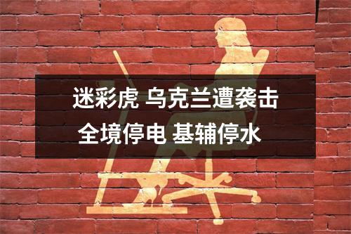 迷彩虎 乌克兰遭袭击 全境停电 基辅停水