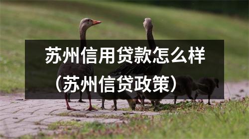 苏州信用贷款怎么样（苏州信贷政策）