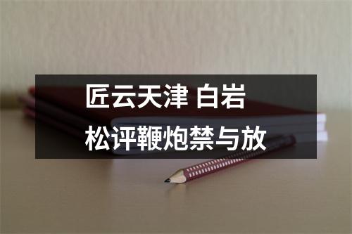 匠云天津 白岩松评鞭炮禁与放