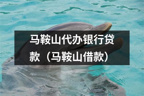 马鞍山代办银行贷款（马鞍山借款）