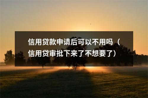 信用贷款申请后可以不用吗（信用贷审批下来了不想要了）