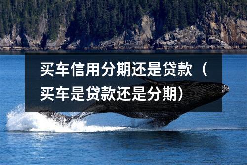 买车信用分期还是贷款（买车是贷款还是分期）
