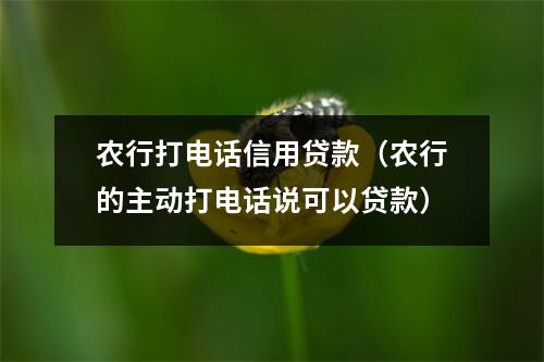 农行打电话信用贷款（农行的主动打电话说可以贷款）