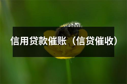 信用贷款催账（信贷催收）