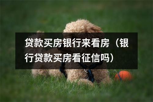 贷款买房银行来看房（银行贷款买房看征信吗）