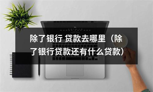 除了银行 贷款去哪里（除了银行贷款还有什么贷款）