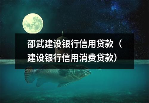 邵武建设银行信用贷款（建设银行信用消费贷款）