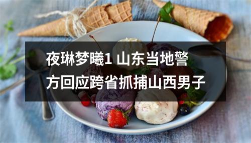 夜琳梦曦1 山东当地警方回应跨省抓捕山西男子