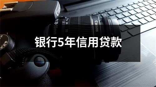 银行5年信用贷款