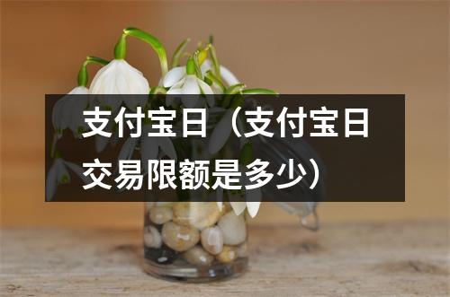 支付宝日（支付宝日交易限额是多少）