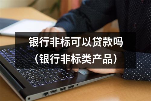 银行非标可以贷款吗（银行非标类产品）