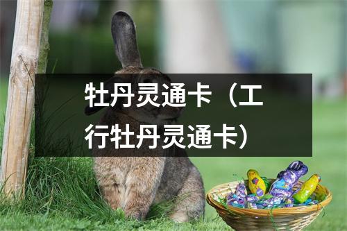 牡丹灵通卡（工行牡丹灵通卡）