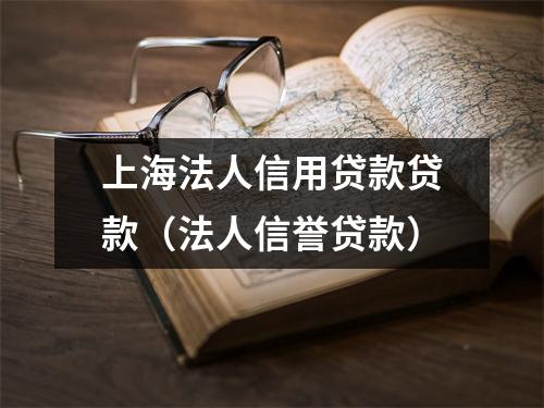 上海法人信用贷款贷款（法人信誉贷款）