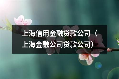 上海信用金融贷款公司（上海金融公司贷款公司）