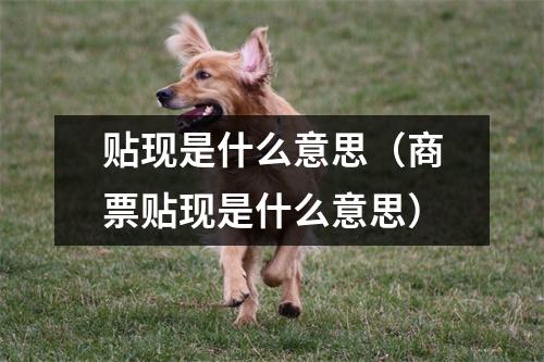 贴现是什么意思（商票贴现是什么意思）