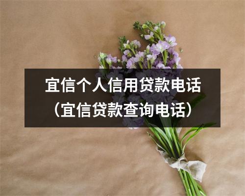 宜信个人信用贷款电话（宜信贷款查询电话）