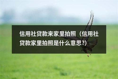 信用社贷款来家里拍照（信用社贷款家里拍照是什么意思?）