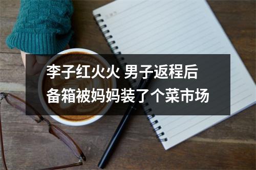 李子红火火 男子返程后备箱被妈妈装了个菜市场
