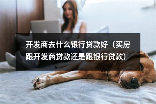 开发商去什么银行贷款好(买房跟开发商贷款还是跟银行贷款)