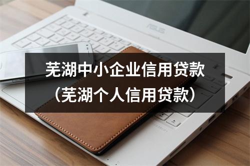 芜湖中小企业信用贷款（芜湖个人信用贷款）