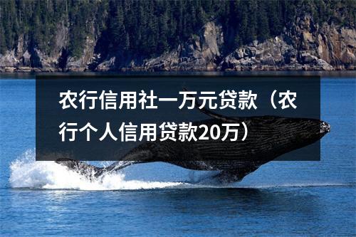 农行信用社一万元贷款（农行个人信用贷款20万）