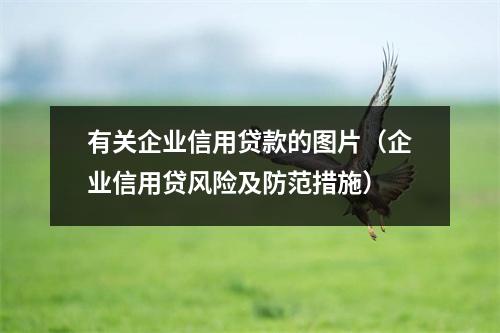有关企业信用贷款的图片(企业信用贷风险及防范措施)