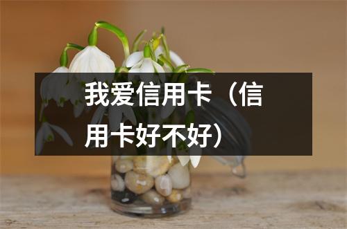 我爱信用卡（信用卡好不好）