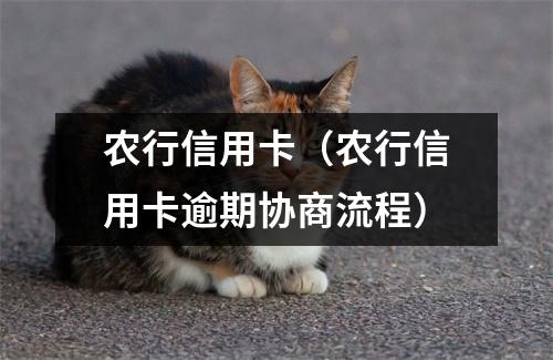 农行信用卡（农行信用卡逾期协商流程）