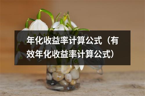 年化收益率计算公式（有效年化收益率计算公式）
