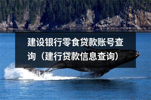 建设银行零食贷款账号查询(建行贷款信息查询)