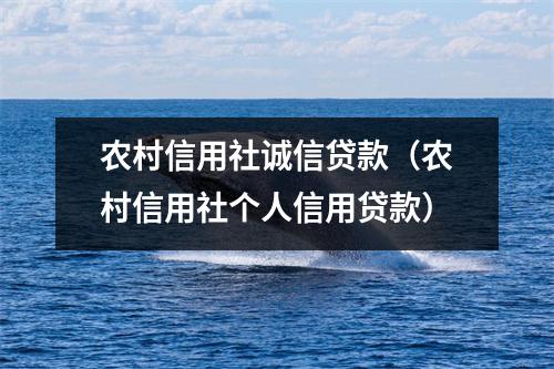 农村信用社诚信贷款(农村信用社个人信用贷款)