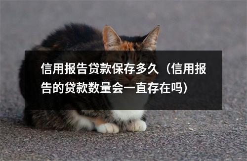 信用报告贷款保存多久（信用报告的贷款数量会一直存在吗）