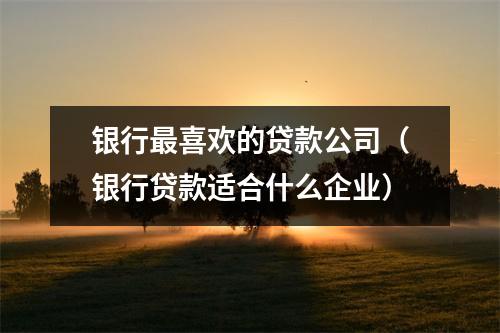 银行最喜欢的贷款公司（银行贷款适合什么企业）