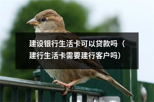 建设银行生活卡可以贷款吗（建行生活卡需要建行客户吗）