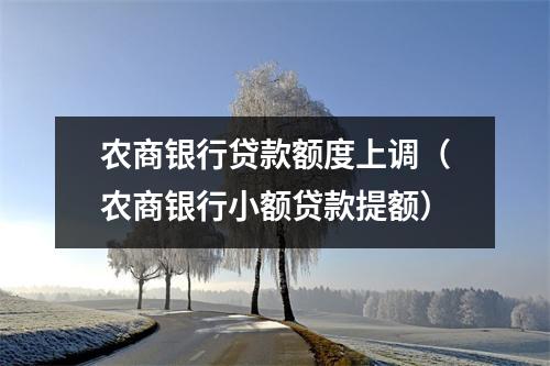 农商银行贷款额度上调（农商银行小额贷款提额）