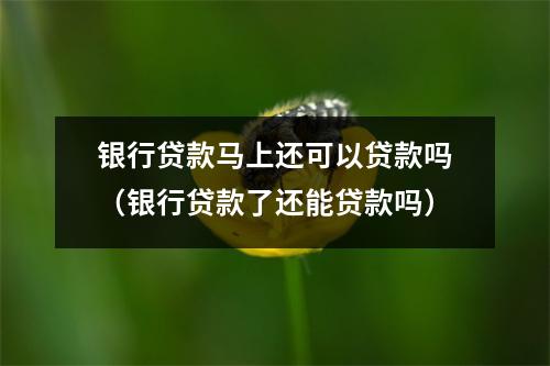 银行贷款马上还可以贷款吗（银行贷款了还能贷款吗）