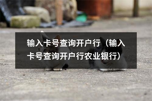 输入卡号查询开户行(输入卡号查询开户行农业银行)