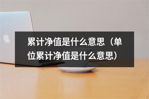 累计净值是什么意思（单位累计净值是什么意思）