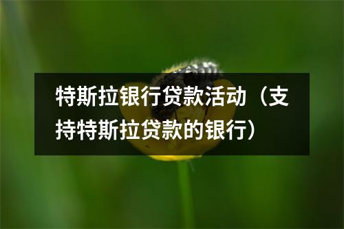 特斯拉银行贷款活动（支持特斯拉贷款的银行）