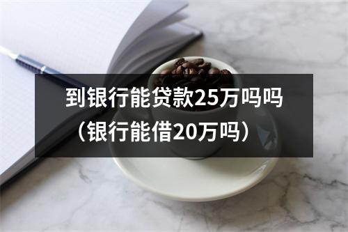 到银行能贷款25万吗吗（银行能借20万吗）